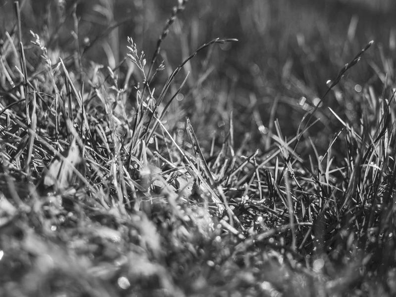 Microsoft 365 Personal